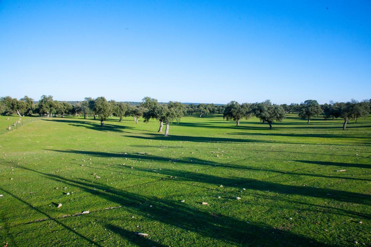 Villa Cortijo Charcollana Pozoblanco Esterno foto